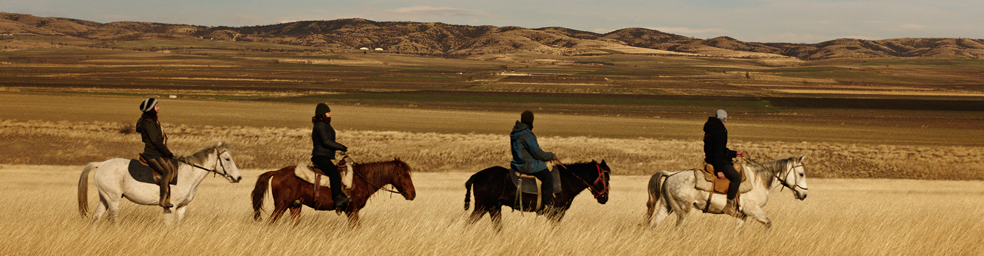 Horseback Riding Tours - Horseback Georgia